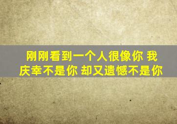 刚刚看到一个人很像你 我庆幸不是你 却又遗憾不是你